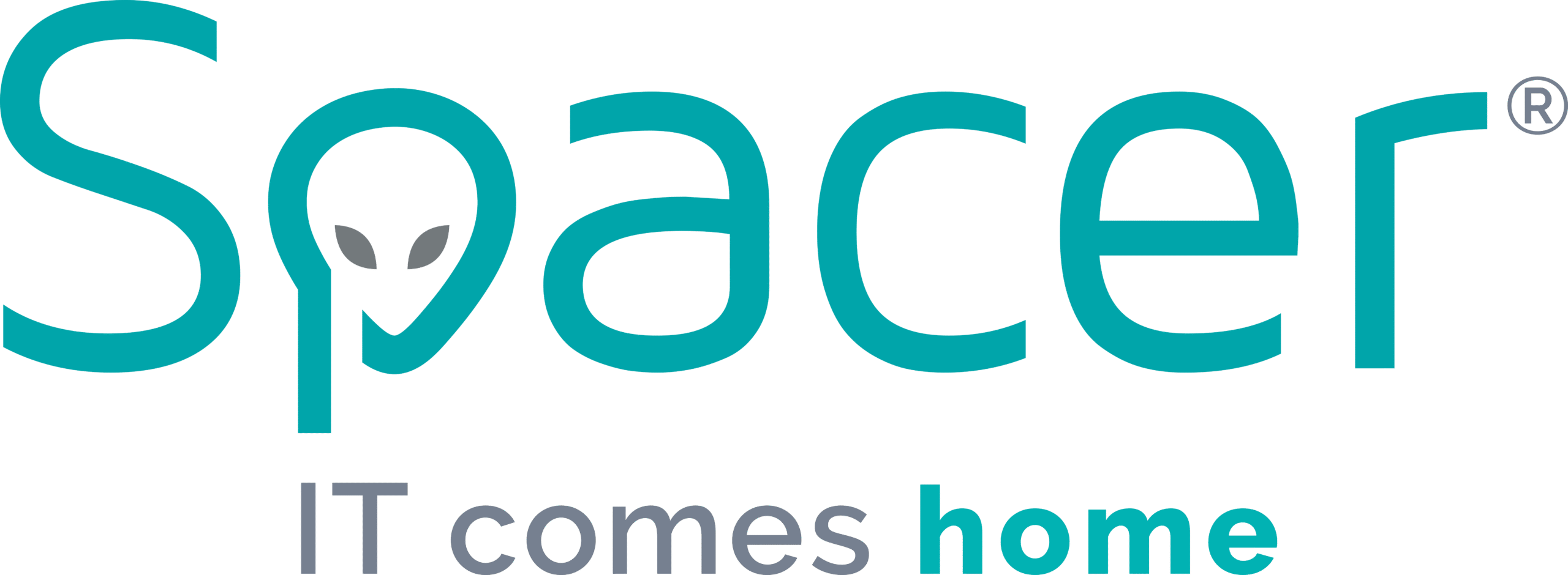Spacer