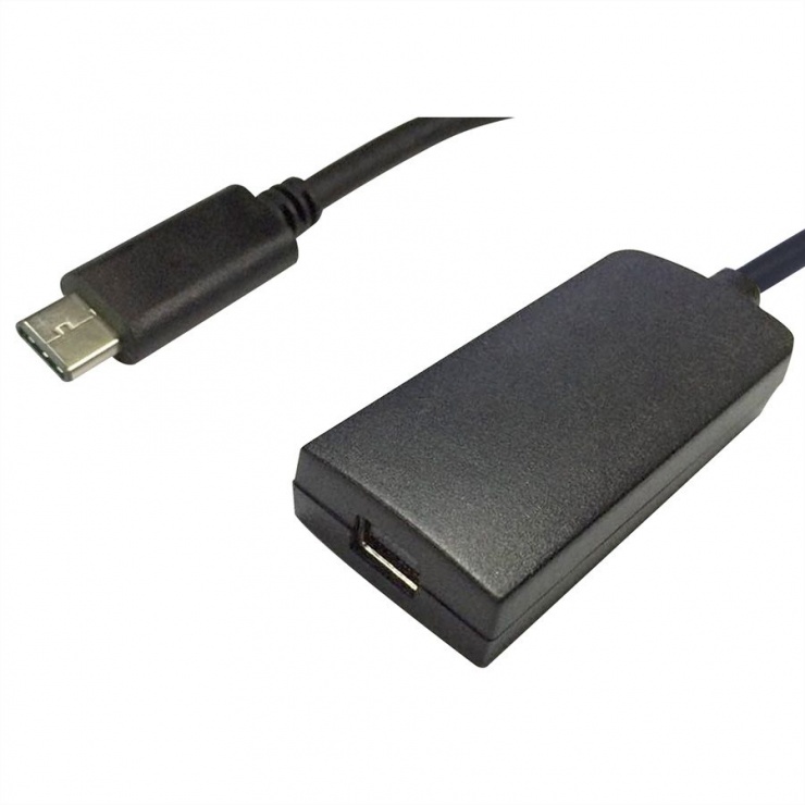 Imagine Adaptor USB-C la Mini Displayport 1.2 T-M Negru, Value 12.99.3226