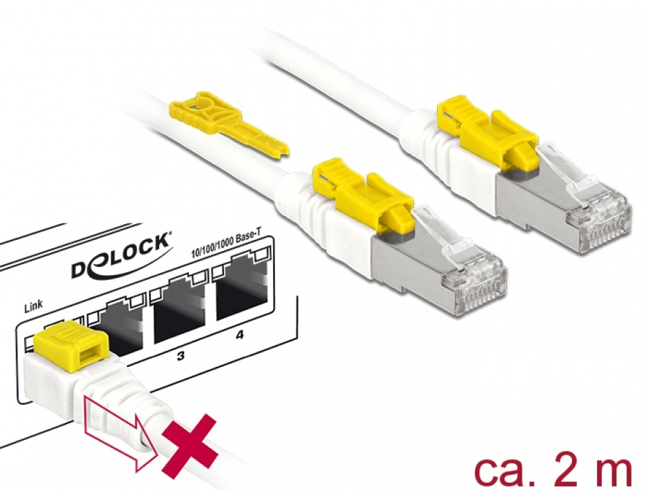 Imagine Cablu de retea RJ45 cat 6A cu sistem de blocare 2m, Delock 85332