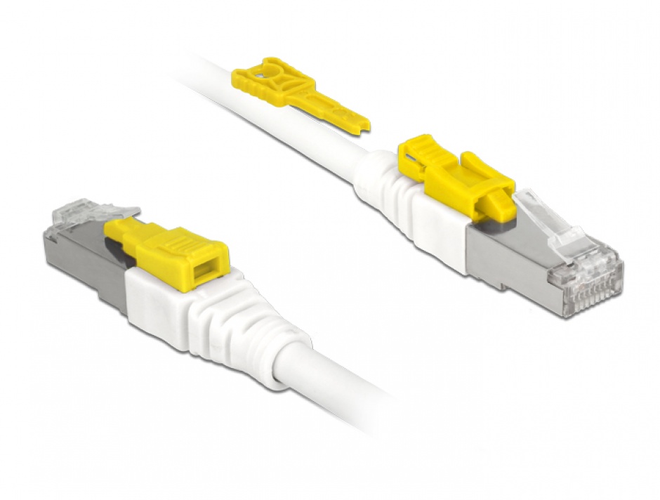 Imagine Cablu de retea RJ45 cat 6A cu sistem de blocare 3m, Delock 85333