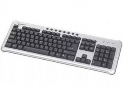 Imagine Tastatura Gembird PS/2 KB-314M-SB Multimedia Silver-Black