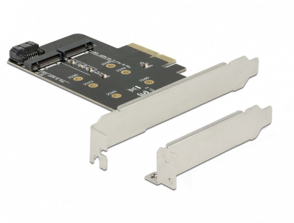 Imagine PCI Express cu 1 x M.2 Key B + 1 x NVMe M.2 Key M, Delock 89558