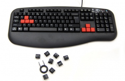 Imagine Tastatura A4Tech PS2 G600
