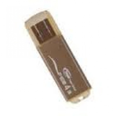 Imagine USB flash Team Group F108 16GB, brown