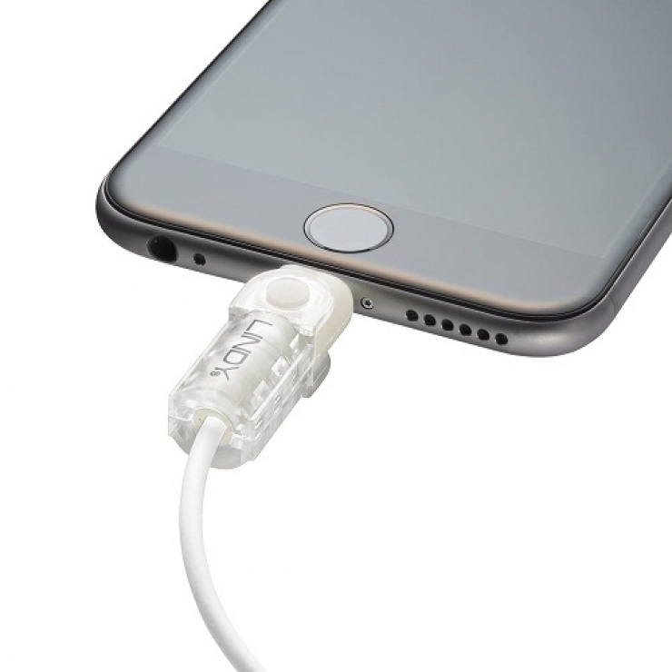 Imagine Kit de protectie pentru interfata Lightning + USB-A transparent, Lindy L31385