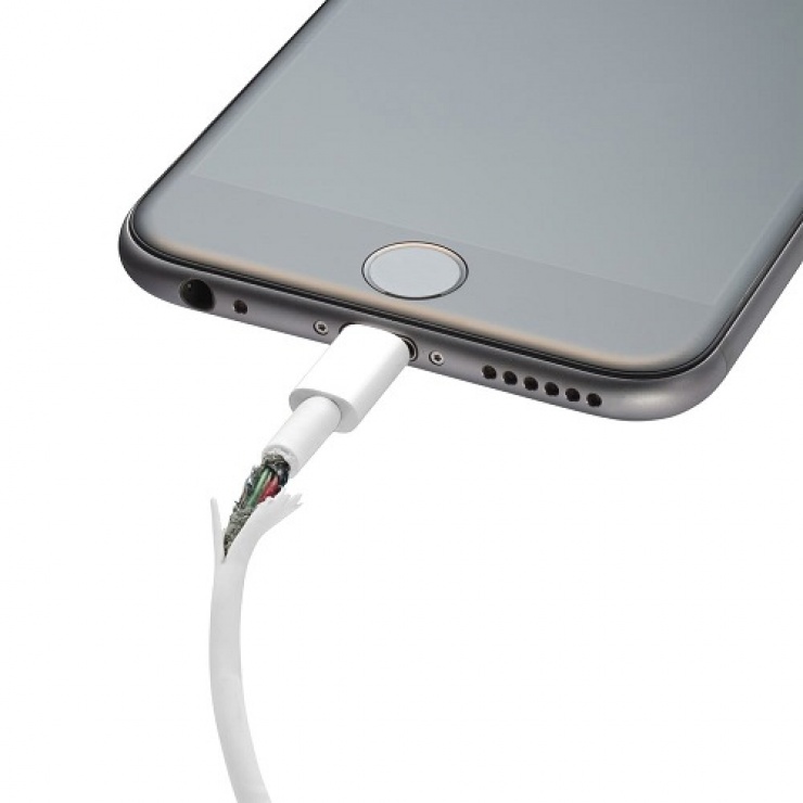 Imagine Kit de protectie pentru interfata Lightning + USB-A transparent, Lindy L31385-2