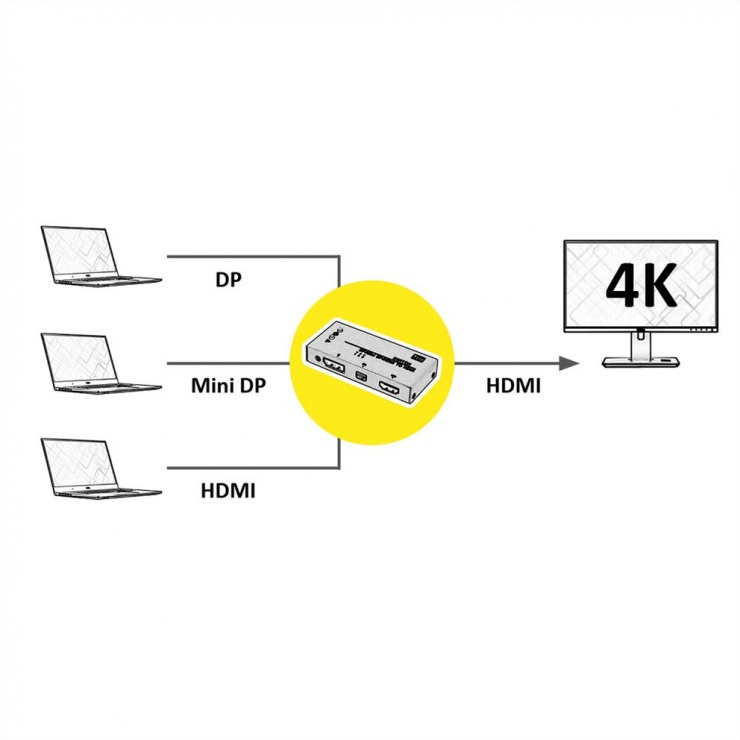 Imagine Switch HDMI / Mini DisplayPort/ DisplayPort la HDMI, Value 14.99.3541