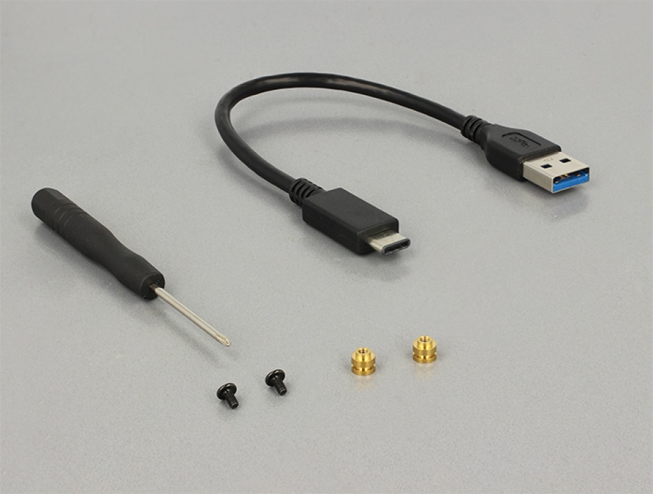 Imagine Rack extern M.2 SSD key B 42 mm la USB 3.1 tip C, Delock 42572