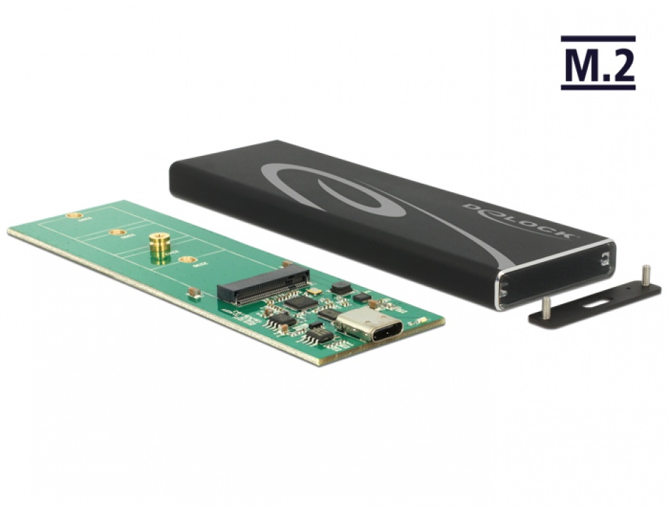 Imagine Rack extern M.2 SSD key B 80 mm la USB 3.1 tip C, Delock 42574