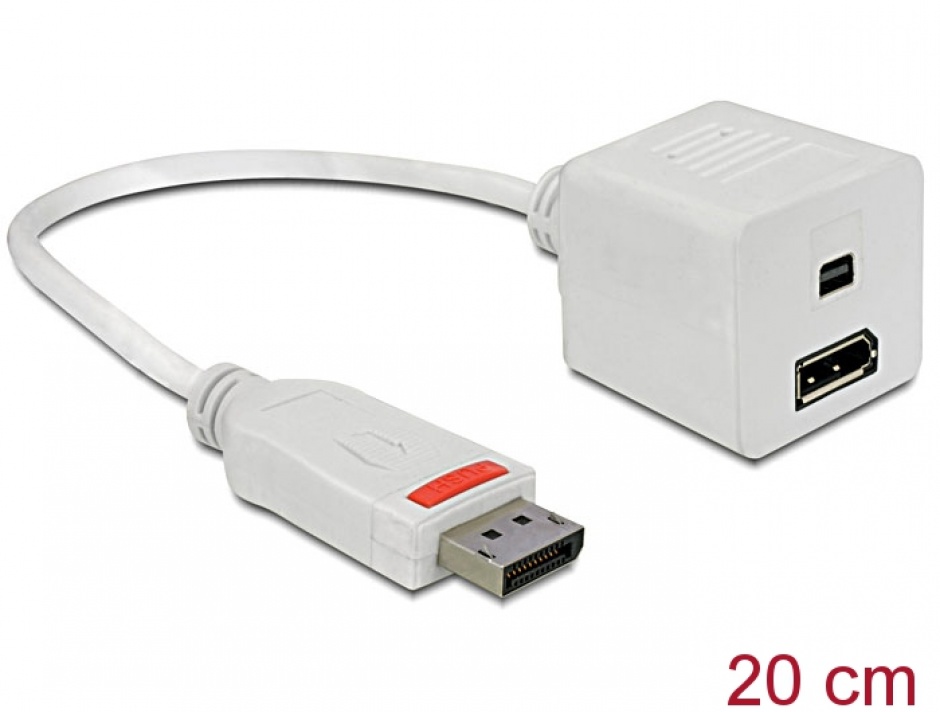 Imagine Adaptor Displayport la Displayport + mini Displayport T-M, Delock 61751