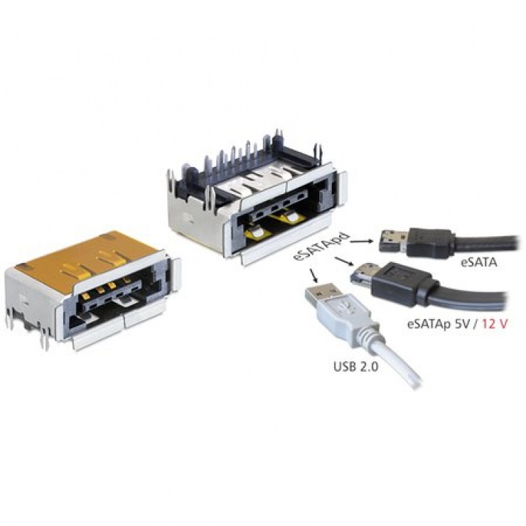 Imagine Conector eSATApd (5/12 V) Mama, Delock 65297