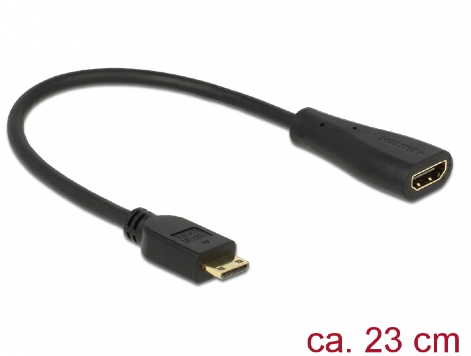 Imagine Adaptor HDMI la mini HDMI-C v1.4 M-T, Delock 65650