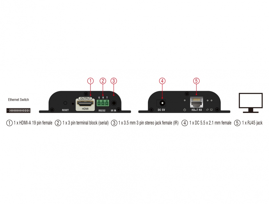 Imagine Receiver HDMI pentru video over IP, Delock 65944