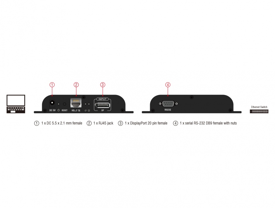 Imagine Transmitter DisplayPort pentru video over IP, Delock 65945