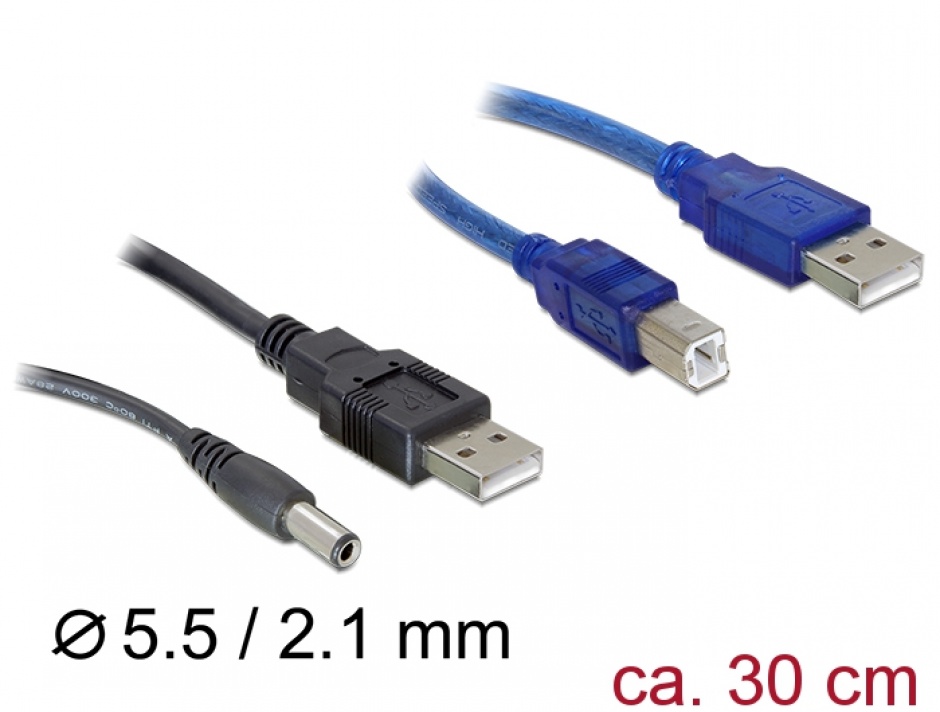 Imagine Set cabluri 2 x USB A la DC si USB B 30cm, Delock 82461