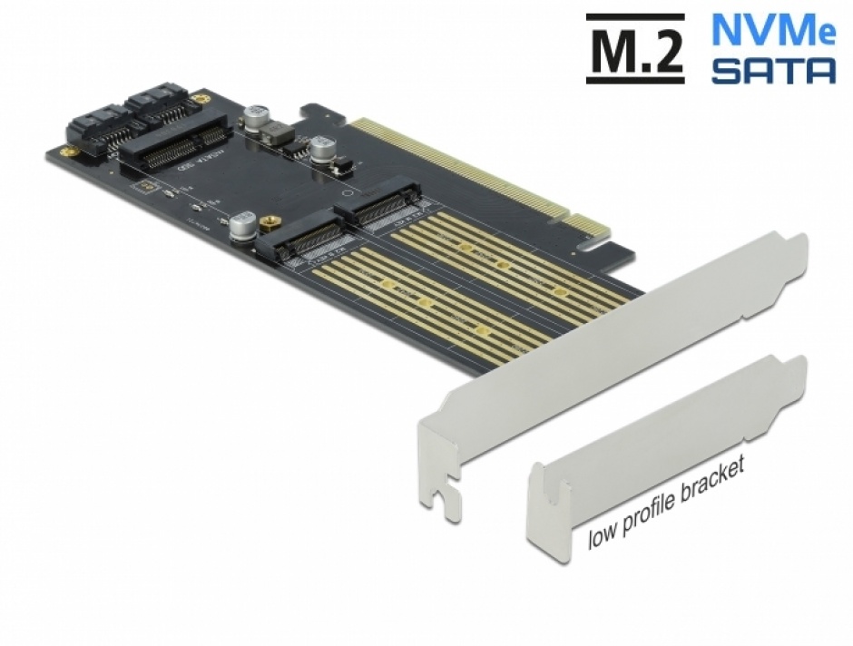 Imagine PCI Express la 1 x M.2 Key B + 1 x NVMe M.2 Key M + 1 x mSATA LPFF, Delock 90486