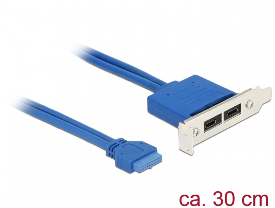 Imagine Bracket USB 3.1 pin header 19 pini mama la 2 x USB-C Low Profile, Delock 84929