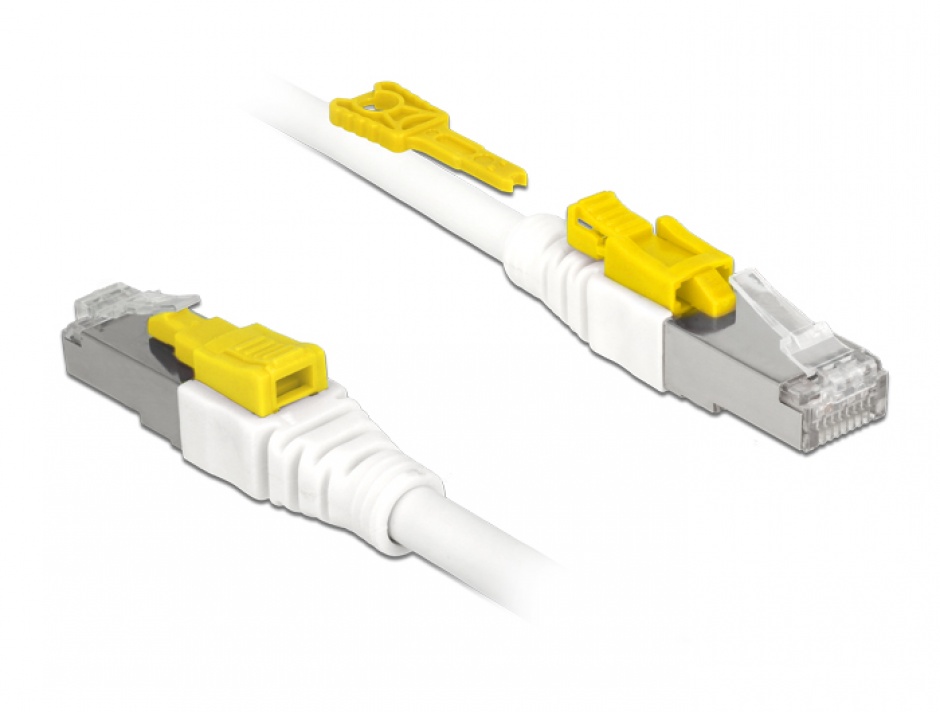 Imagine Cablu de retea RJ45 cat 6A cu sistem de blocare 1m, Delock 85331