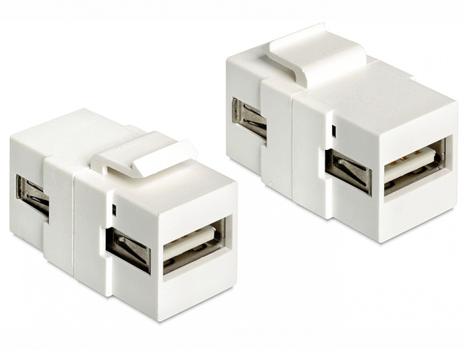 Imagine Modul Keystone USB 2.0 tip A M-M, Delock 86317
