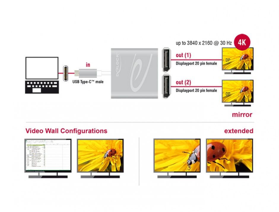 Imagine Multiplicator USB-C (DP Alt Mode) la 2 x Displayport 4K 30 Hz, Delock 87714