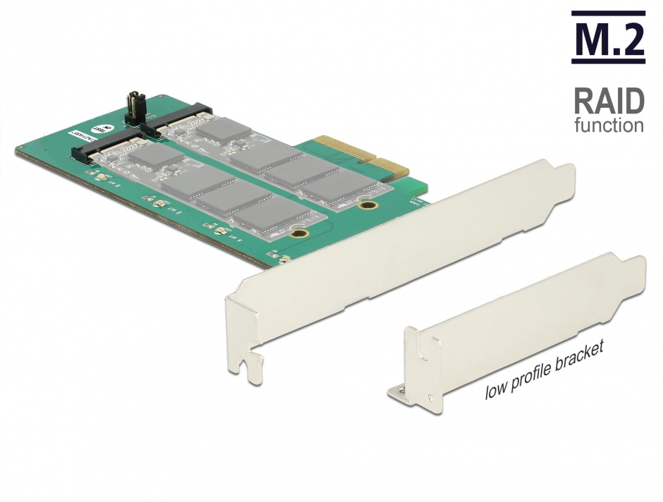 Imagine PCI Express cu 2 x M.2 Key B cu RAID, Delock 89536
