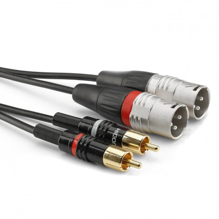 Imagine Cablu audio 2 x XLR 3 pini la 2 x RCA T-T 3m, HBP-M2C2-0300
