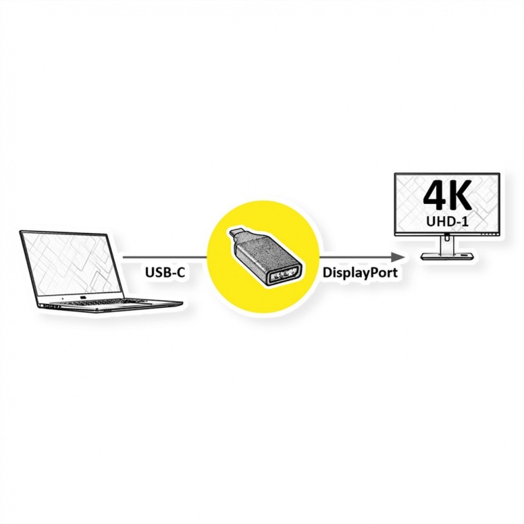 Imagine Adaptor GOLD USB-C la Displayport 1.2 T-M, Roline 12.03.3232