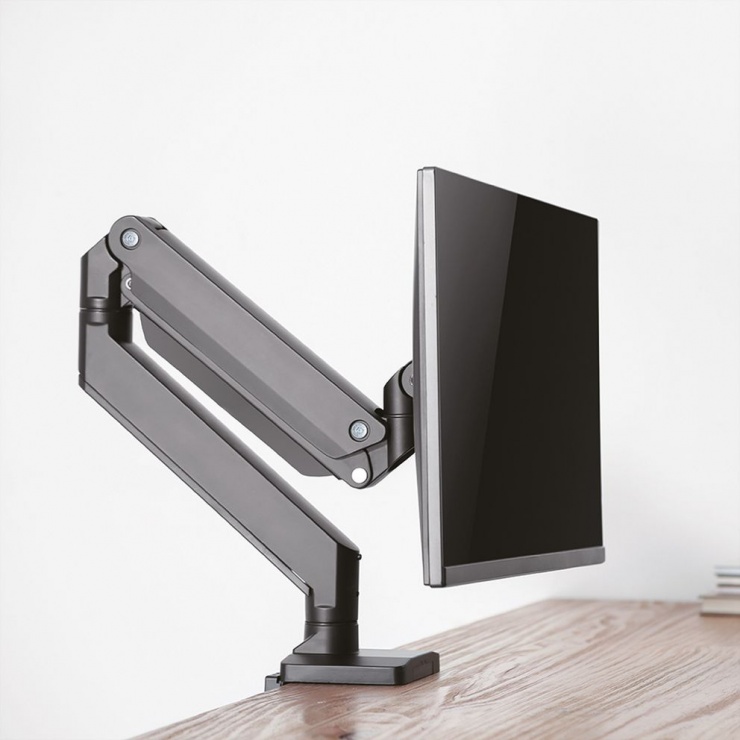 Imagine Suport pneumatic masa pentru monitor max 15kg, Roline 17.03.1116