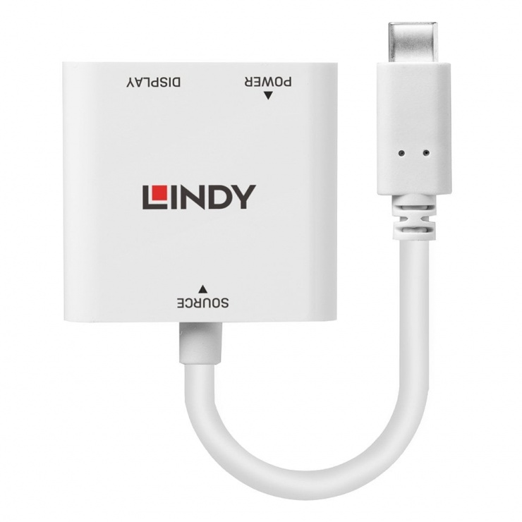 Imagine Adaptor USB Type C la DisplayPort @60Hz T-M Alb, Lindy L43289