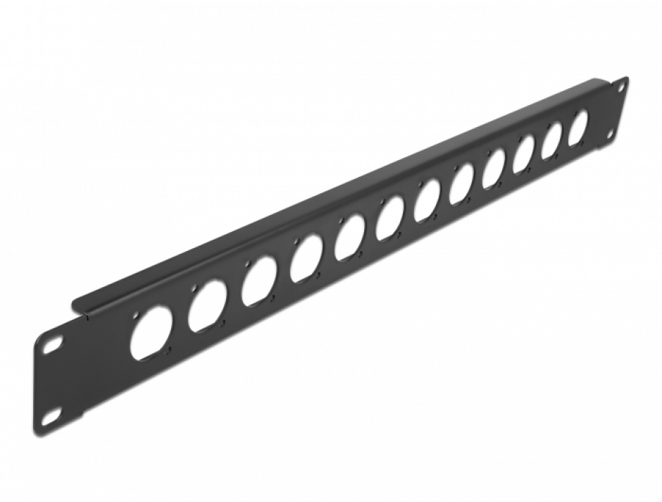 Imagine Patch panel 10" pentru 12 x module D-type, Delock 86500