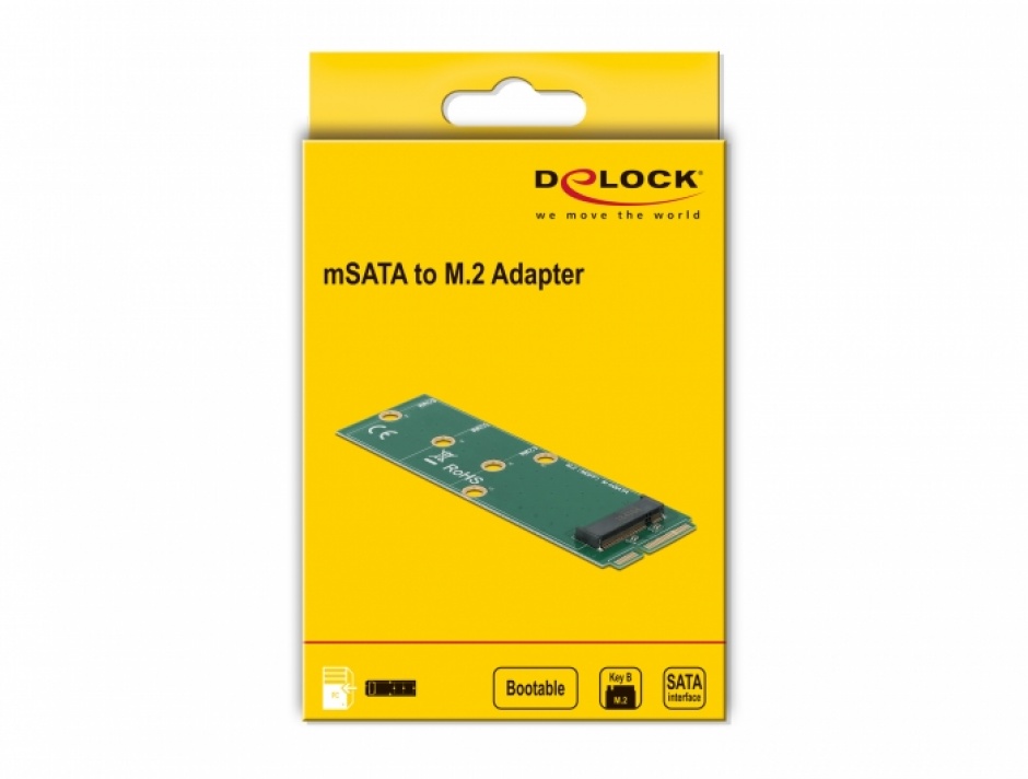 Imagine Adaptor mSATA la M.2 Key B slot, Delock 64109