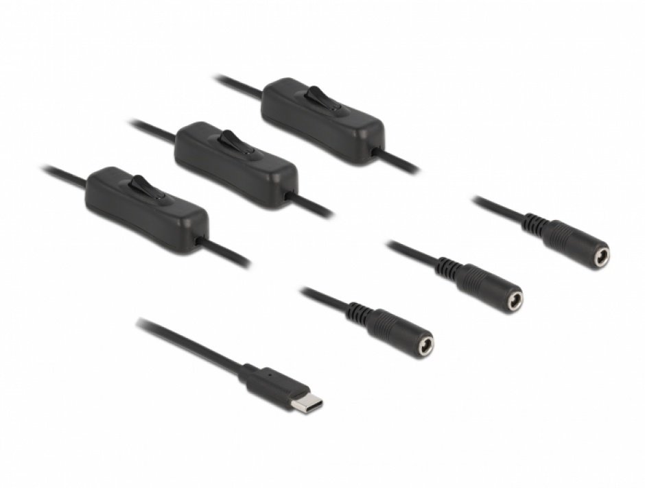 Imagine Cablu USB Type-C la 3 x DC 5.5 x 2.1 mm cu switch T-M 1m, Delock 86801