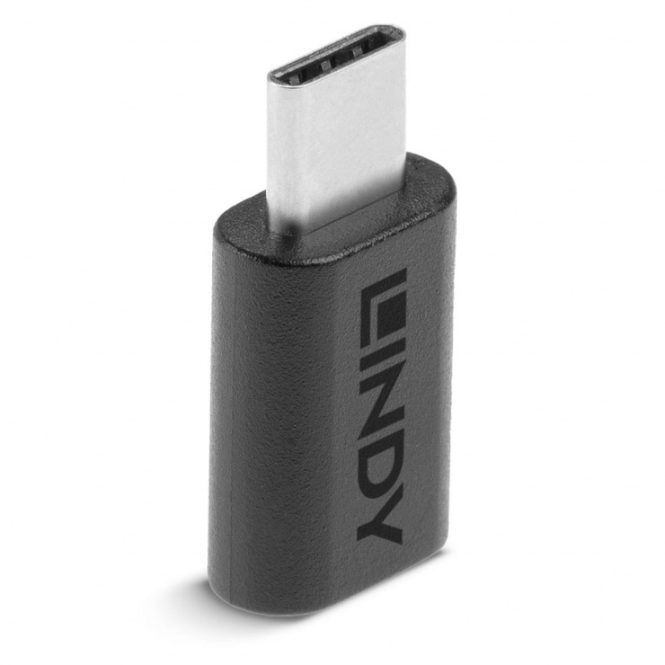 Imagine Adaptor USB 3.2 Gen 2x2 Type C T-M, Lindy L41893