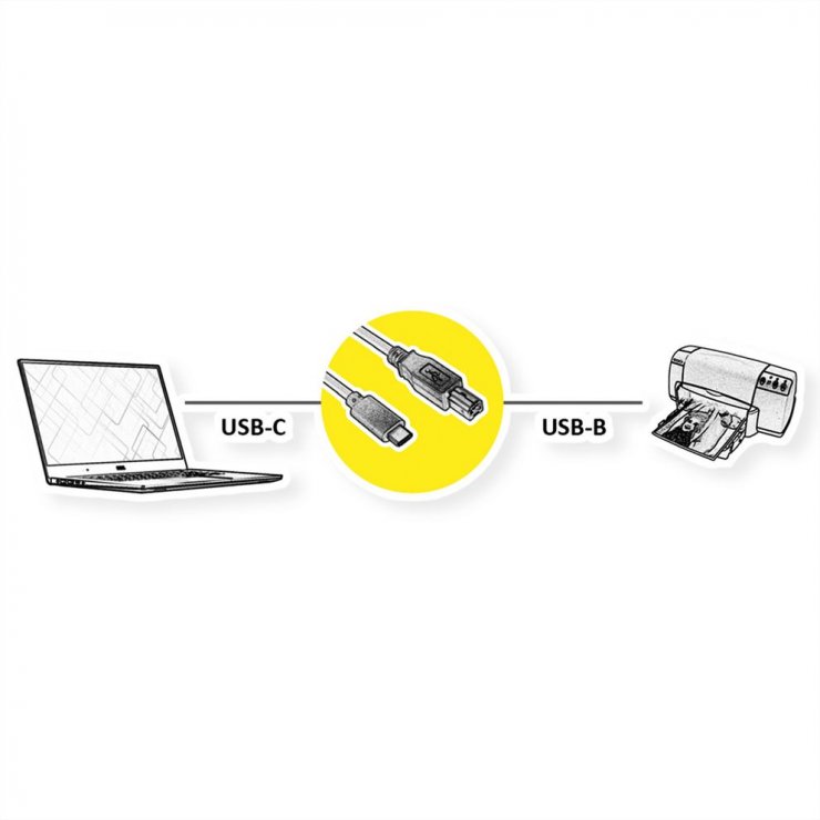 Imagine Cablu USB 2.0 type C la USB-B T-T 3m, Roline 11.02.8337