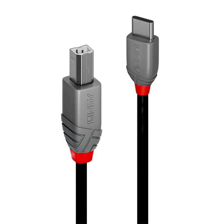 Imagine Cablu USB 2.0 Type C la USB-B Anthra Line 2m, Lindy L36942