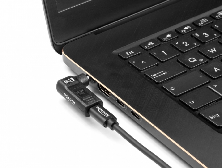 Imagine Adaptor de alimentare laptop USB type C la HP 4.5 x 3.0 mm M-T 19.5V/3A, Delock 60004