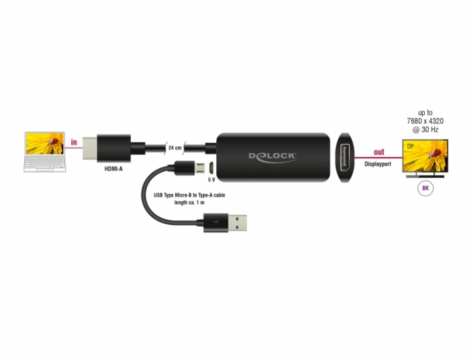 Imagine Adaptor HDMI la Displayport 8K30Hz T-M, Delock 64213