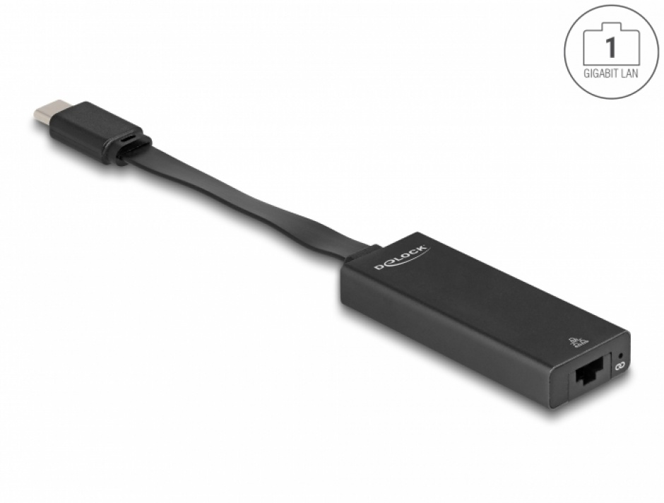 Imagine Adaptor USB 3.1 type C la Gigabit LAN Slim, Delock 66246