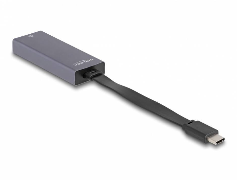 Imagine Adaptor USB 3.1 type C la 2.5 Gigabit LAN Slim, Delock 66248