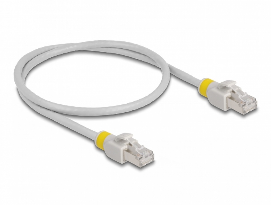 Imagine Cablu de retea RJ45 Cat.6A FTP + 20 cleme colorate 0.5m Gri, Delock 80117