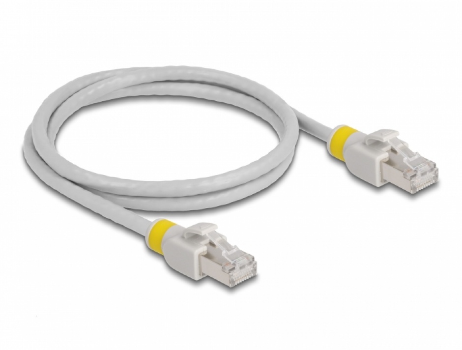 Imagine Cablu de retea RJ45 Cat.6A FTP + 20 cleme colorate 1m Gri, Delock 80118