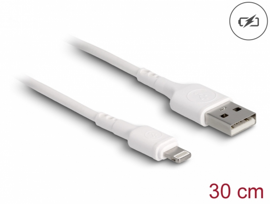 Imagine Cablu de incarcare USB-A la iPhone Lightning 0.3m Alb, Delock 87866