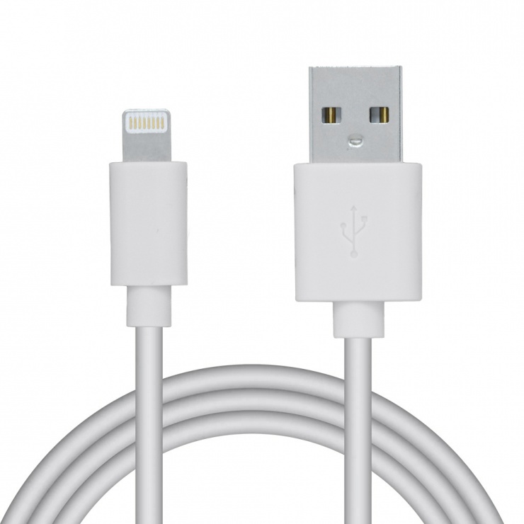 Imagine Cablu date + incarcare USB 2.0 la iPhone Lightning 0.5m Alb, Spacer SPDC-LIGHT-PVC-W-0.5
