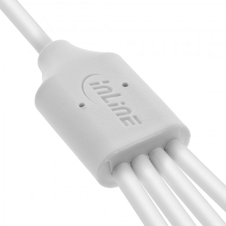 Imagine Cablu de alimentare USB-A la 4 x USB type C T-T 2m Alb, InLine IL35142W