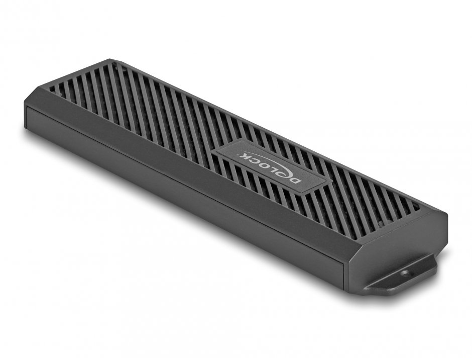 Imagine Rack extern USB 3.2 type C pentru SSD M.2 NVMe PCIe/SATA Combo, Delock 42031