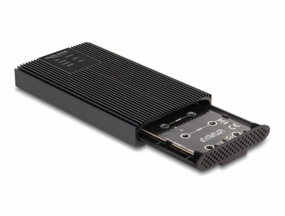 Imagine Rack extern USB type C la 2 x M.2 NVMe PCIe SSD cu RAID, Delock 42022