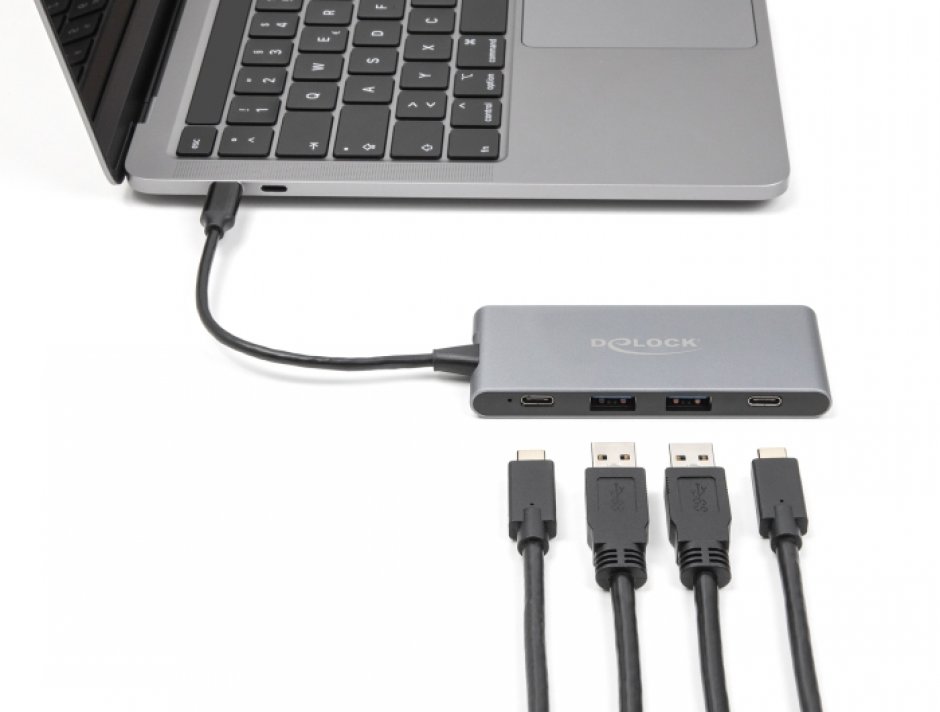 Imagine HUB USB 3.2 type C la 2 x USB type C + 2 x USB-A, Delock 64111