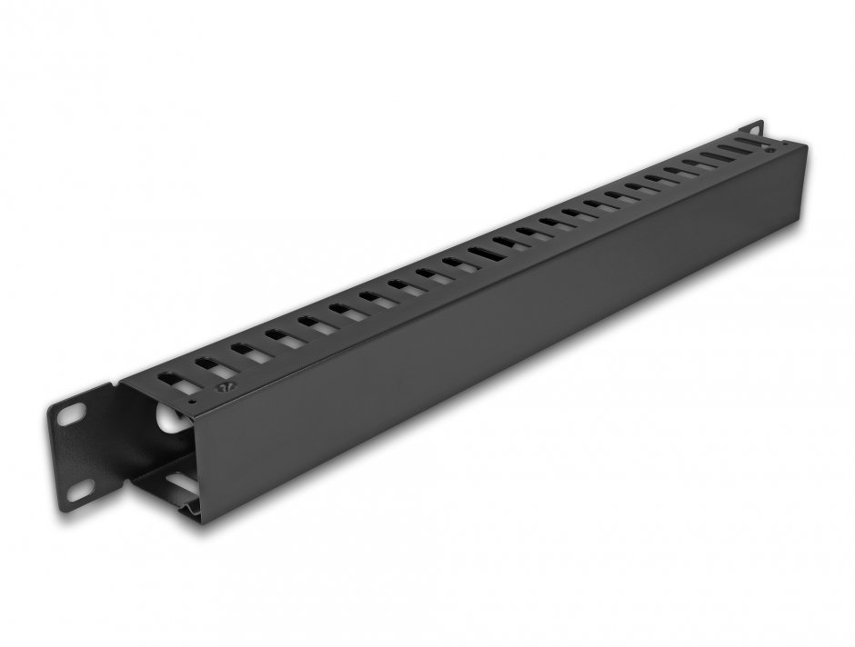 Imagine Panou de ghidare cabluri 19" cu 2 deschideri 1U metal Negru, Delock 81558
