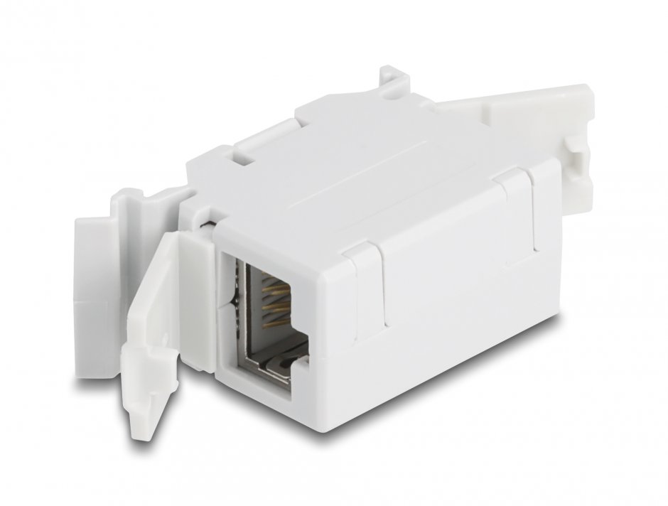 Imagine Cupla RJ45 Cat.6A cu capac de protectie impotriva prafului pentru montare sina DIN, Delock 90768