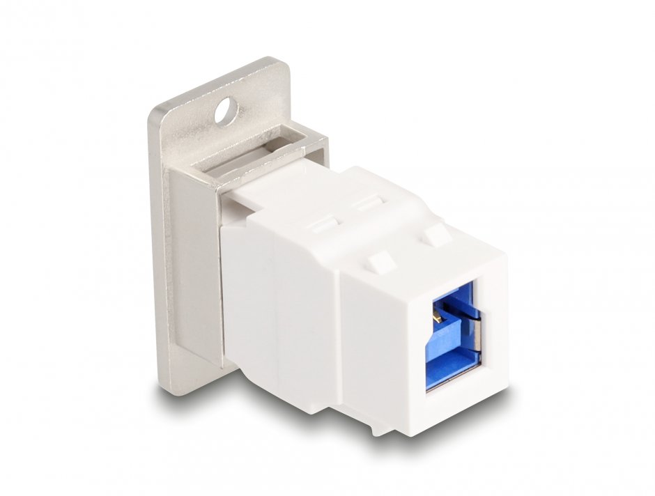 Imagine Modul montare panou USB-A 5 Gbps la USB-B M-M Alb, Delock 67164